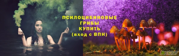 гашик Алзамай