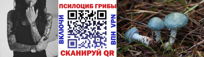 Галлюциногенные грибы Cubensis  Оханск 